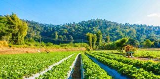 una nueva cultura para gestionar el agua en la agricultura