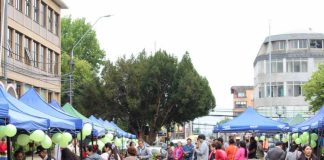 47 encuentros agrícolas se desarrollaron en primer año de la “Feria Campesina Biobío” en Los Ángeles