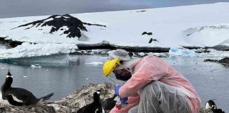 A Convivir se Aprende concluyó cuatro años de trabajo fortaleciendo la convivencia educativa en La Araucanía