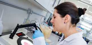 Académica UOH es reconocida con el premio “Mujer Agroinnovadora 2025” de la Región de O’Higgins