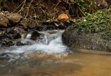 Aclara adelanta renuncia a todos sus derechos de agua: empresa ya no posee derechos hídricos