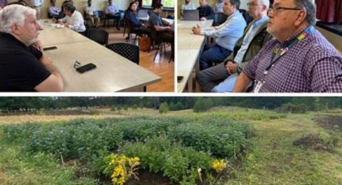 Actores públicos, privados y académicos de Ñuble definen prioridades y orientan inversiones con el apoyo de FIA