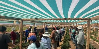 Agricultores familiares visitan primeros faros agroecológicos en la región de Atacama
