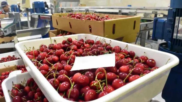 Argentina | Aseguran que nueva ruta Shanghai–Buenos Aires favorece al comercio internacional