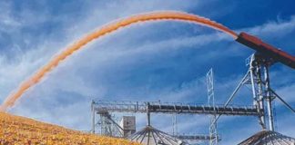 Argentina | El agro argentino avanza con buenas perspectivas