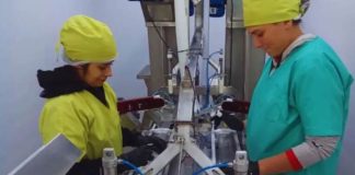 Argentina | Innovación patagónica: biocontroladores de INTA