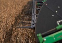 Argentina recorta aranceles a las exportaciones de productos agrícolas