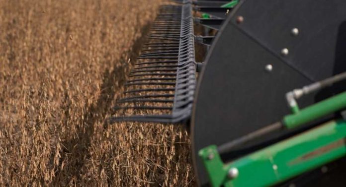 Argentina recorta aranceles a las exportaciones de productos agrícolas