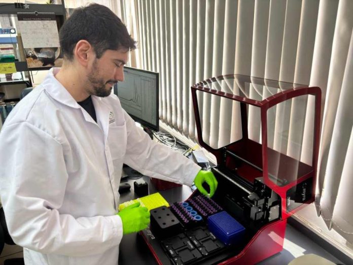 Bioinformática, la clave invisible para entender y mejorar los frutales Bioinformática, la clave invisible para entender y mejorar los frutales