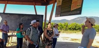 Centro Ceres impulsa la asesoría agrícola especializada para una agricultura sostenible