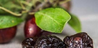 Cerca de US$ 250 millones acumulan los envíos de ciruela deshidratada chilena a octubre