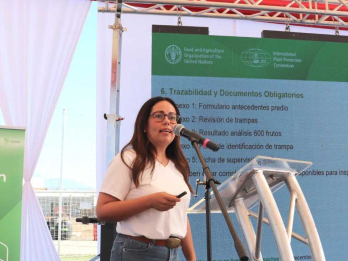 Chile y Argentina unen fuerzas contra la mosca de alas manchadas FDF lidera la batalla con la Técnica del Insecto Estéril (TIE) Chile y Argentina unen fuerzas contra la mosca de alas manchadas: FDF lidera la batalla con la Técnica del Insecto Estéril (TIE)