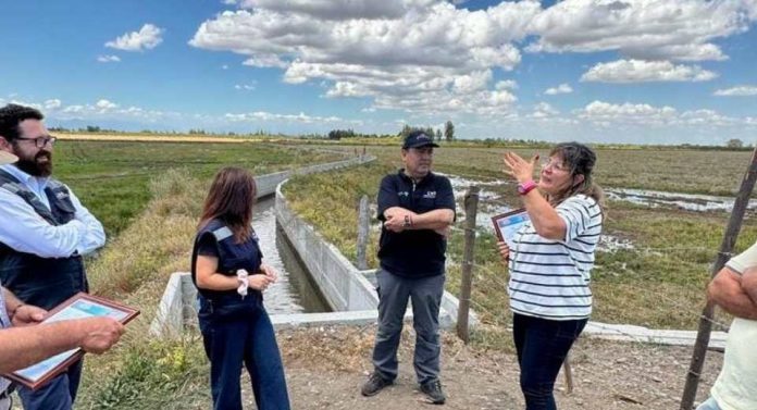 Comisión Nacional de Riego recorre nuevas obras que impulsan el sueño arrocero en la comuna de Ñiquén Comisión Nacional de Riego recorre nuevas obras que impulsan el sueño arrocero en la comuna de Ñiquén