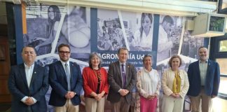 Consejo de decanas y decanos de Facultades de Agronomía del CRUCH eligió a su primera presidenta para el periodo 2026-2028