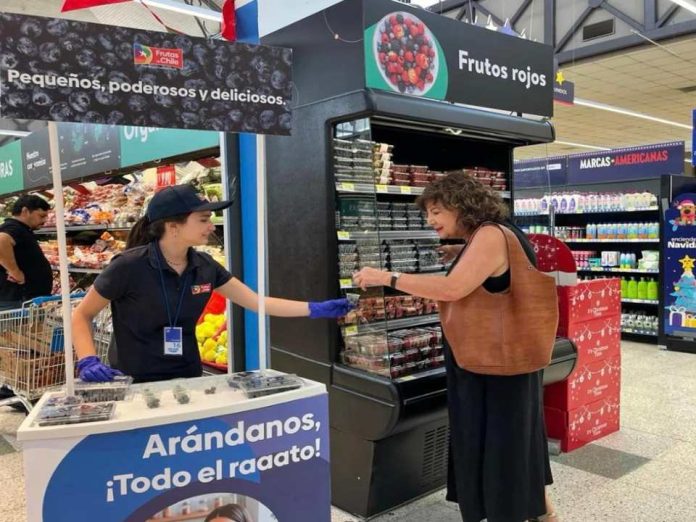 Consumo de arándanos frescos en el país “Pequeños, poderosos y deliciosos. Arándanos, ¡Todo el raaato!”: Comité de Arándanos de Frutas de Chile estrena promoción para incentivar el consumo de arándanos frescos en el país