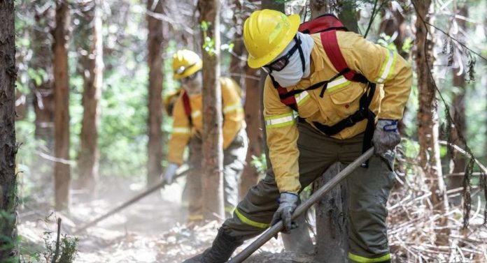 Corma advierte alza del 52 en superficie quemada en La Araucanía