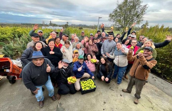 Diversificación frutícola en Ñuble: destacan avances de emblemático proyecto de INIA tras primer año de ejecución