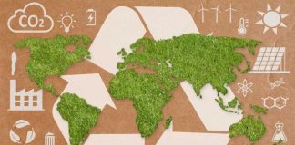 EEUU | La IFPA presenta una hoja de ruta global para productos agrícolas sostenibles