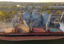 EEUU Movimiento semanal de granos la soja no alcanzó el objetivo