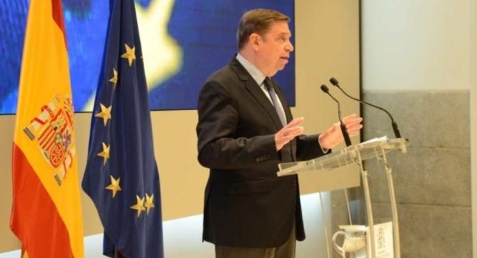 España Mensaje de tranquilidad tras la aparición de peste porcina africana en animales silvestres