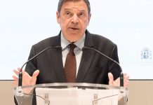 España se apresura a limitar el daño económico causado por el brote de peste porcina africana