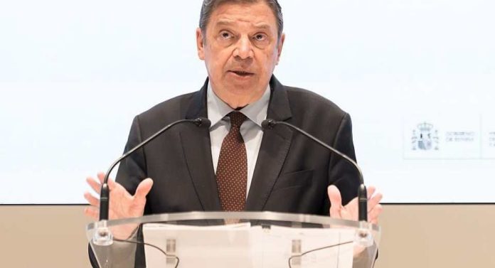 España se apresura a limitar el daño económico causado por el brote de peste porcina africana España se apresura a limitar el daño económico causado por el brote de peste porcina africana