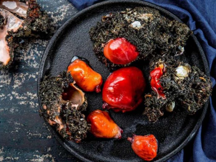 Estudio evalúa las oportunidades comerciales del piure a nivel nacional e internacional Estudio evalúa las oportunidades comerciales del piure a nivel nacional e internacional