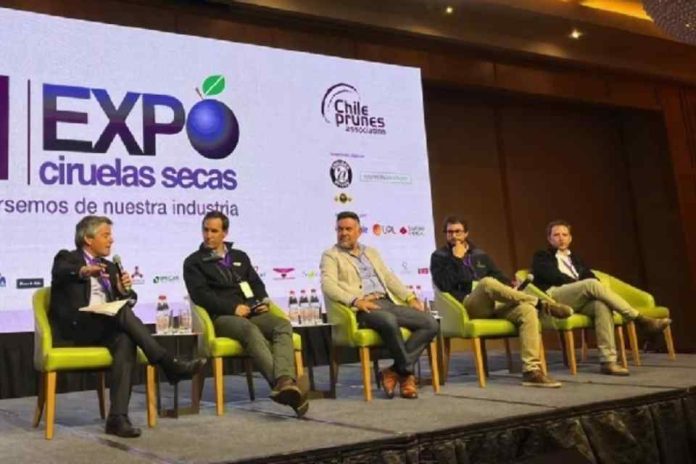 Se viene una Expo Ciruelas Secas 2026 ¡Imperdible!!!