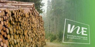 Exportaciones forestales del Biobío disminuyeron 32,7% en noviembre de 2025 y contemplaron 71,4% de las exportaciones regionales Exportaciones forestales del Biobío, IInstituto Nacional de Estadísticas, INE