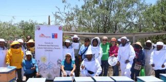 Fundación Collahuasi y Seremi de Agricultura entregan colmenas para fomentar la apicultura en el Tamarugal