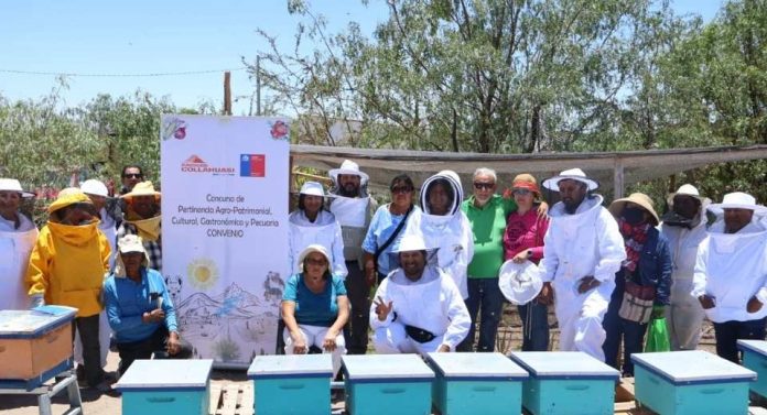 Fundación Collahuasi y Seremi de Agricultura entregan colmenas para fomentar la apicultura en el Tamarugal