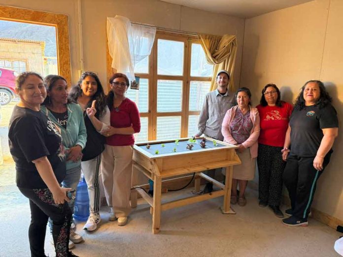 INIA Intihuasi impulsa hidroponía en Atacama para enfrentar la crisis hídrica INIA Intihuasi impulsa hidroponía en Atacama para enfrentar la crisis hídrica