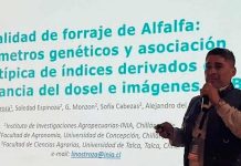 Fenotipado digital como una herramienta clave para seleccionar plantas Fenotipado digital como una herramienta clave para seleccionar plantas. Fenotipado digital como una herramienta clave para seleccionar plantas