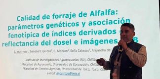 Fenotipado digital como una herramienta clave para seleccionar plantas. Fenotipado digital como una herramienta clave para seleccionar plantas