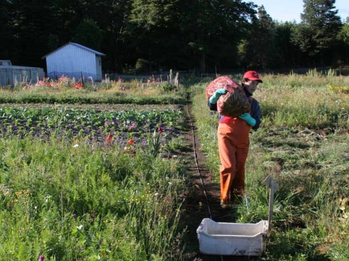 INIA y Mar-Mau firman acuerdo para transformar residuos marinos en sustratos agrícolas sustentables