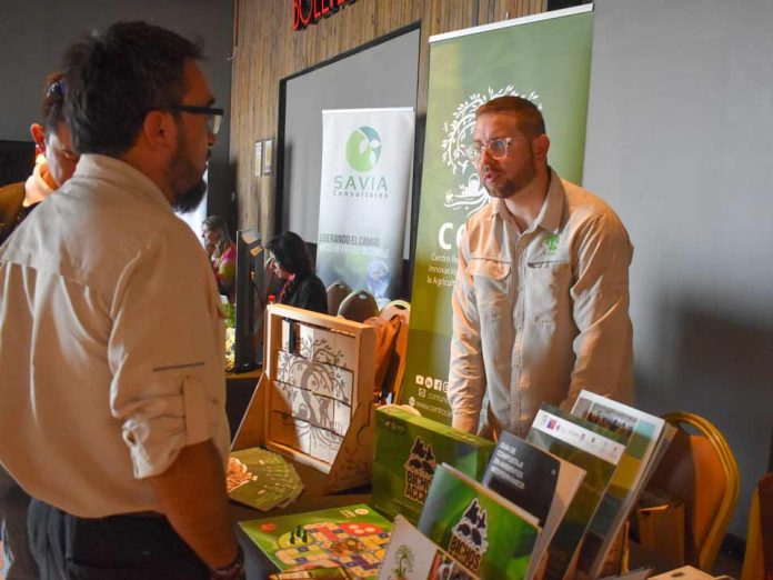 Argentina | Nuevos alimentos vegetales en el Código Alimentario: derivados del olivo y de nuez pecán encabezan las novedades Argentina | Nuevos alimentos vegetales en el Código Alimentario: derivados del olivo y de nuez pecán encabezan las novedades