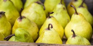 La industria de la pera de California se pronuncia en contra de las importaciones argentinas
