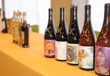 Lanzan nueva plataforma para rescatar la identidad de los vinos del Biobío Lanzan nueva plataforma para rescatar la identidad de los vinos del Biobío