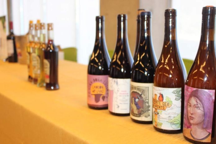 Lanzan nueva plataforma para rescatar la identidad de los vinos del Biobío