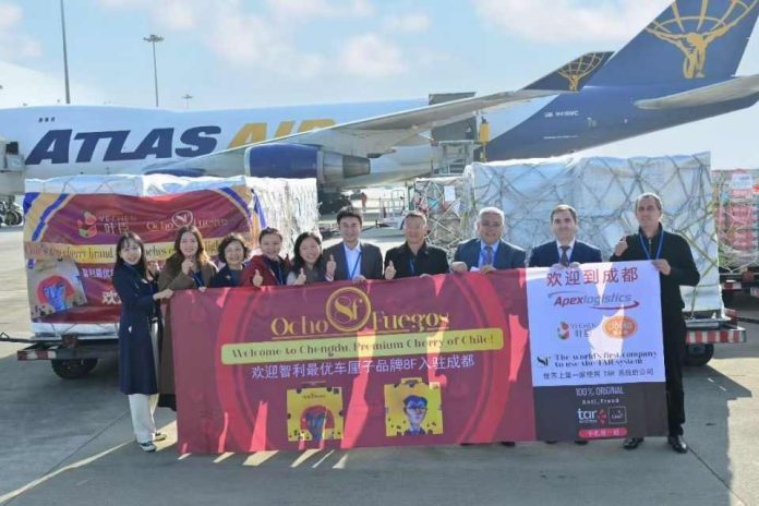 Entrega trazabilidad origen-destino Llegó a China el primer embarque de cerezas chilenas con pionero sistema que certifica la originalidad de los productos y evita adulteración