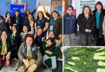 Los Encuentros Red MAI cierran su ciclo 2025 en Puerto Natales junto a directora ejecutiva de FIA Los Encuentros Red MAI cierran su ciclo 2025 en Puerto Natales junto a directora ejecutiva de FIA