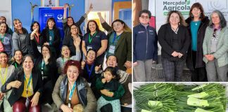 Los Encuentros Red MAI cierran su ciclo 2025 en Puerto Natales junto a directora ejecutiva de FIA