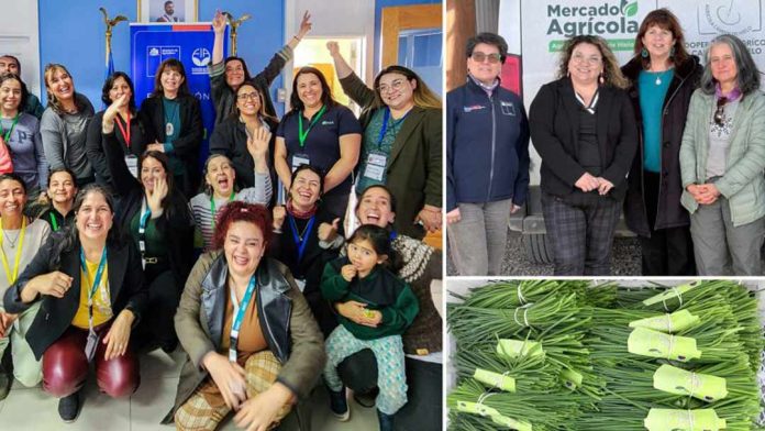 Los Encuentros Red MAI cierran su ciclo 2025 en Puerto Natales junto a directora ejecutiva de FIA Los Encuentros Red MAI cierran su ciclo 2025 en Puerto Natales junto a directora ejecutiva de FIA