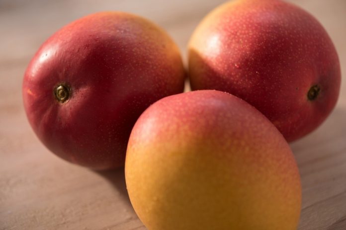 Mango Exportaciones de frutas peruanas crecen 13%