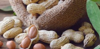 Maní sin alérgenos abre nuevas oportunidades para Chile