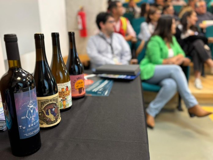 Avanza trámite para que vinos de siete comunas del Biobío reciban Denominación de Origen