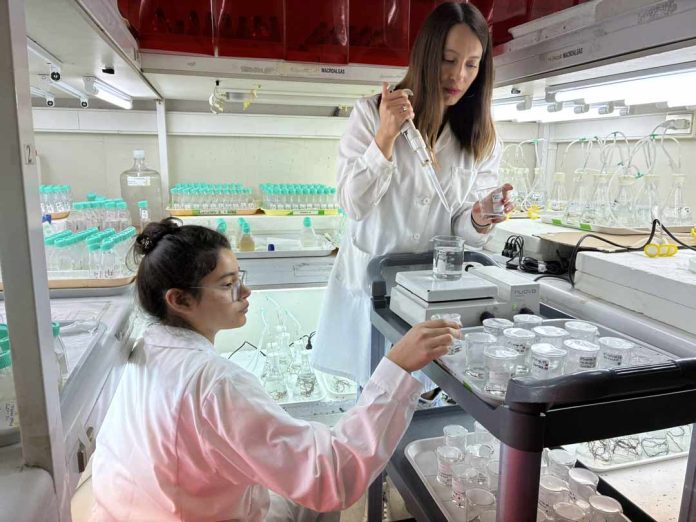 Microbioma marino Microbioma marino