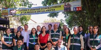 Ministerio de Agricultura anuncia inminente erradicación de mosca de la fruta en Malloa
