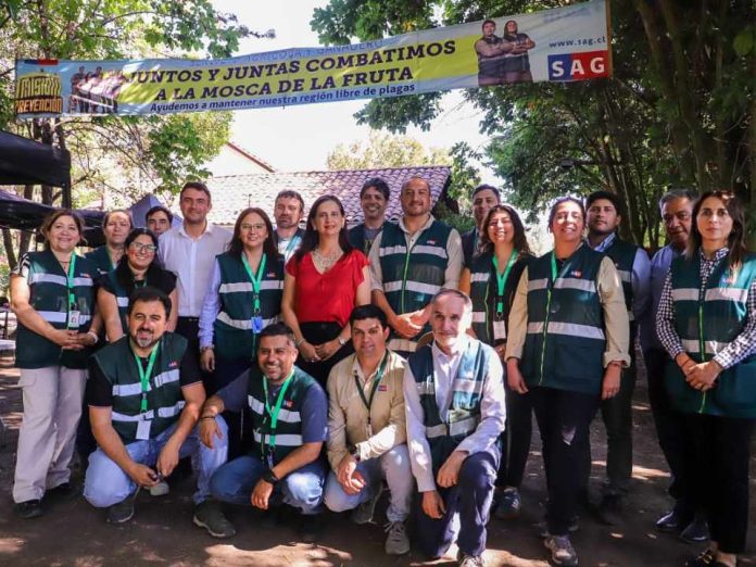 Ministerio de Agricultura anuncia inminente erradicación de mosca de la fruta en Malloa