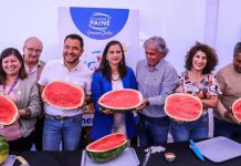 Ministra Fernández, junto al alcalde de Paine y la asociación de sandialeros de la comuna, dan inicio a la temporada de sandía 2025 -2026 Ministra Fernández, junto al alcalde de Paine y la asociación de sandialeros de la comuna, dan inicio a la temporada de sandía 2025 -2026